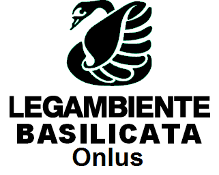 m5s