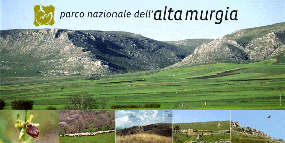 alta murgia