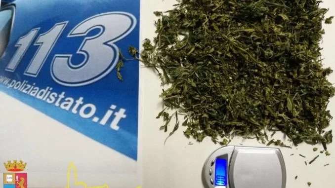 marijuana-a-pisticci