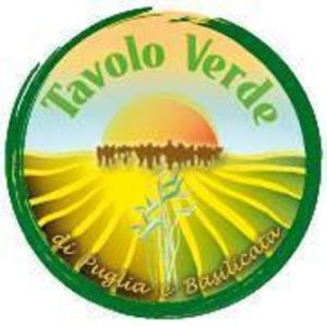 tavolo-verde-logo