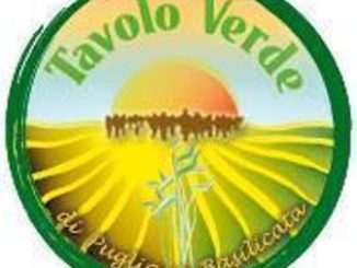 Offerta formativa regionale