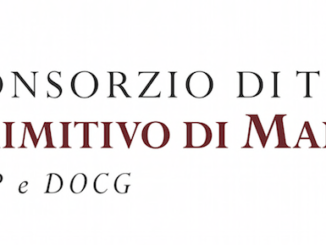 consorzio