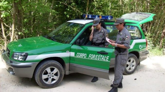 forestali-corpo-forestale