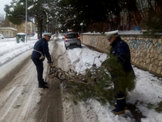 a 1 radio laser news matera potenza puglia basilicata