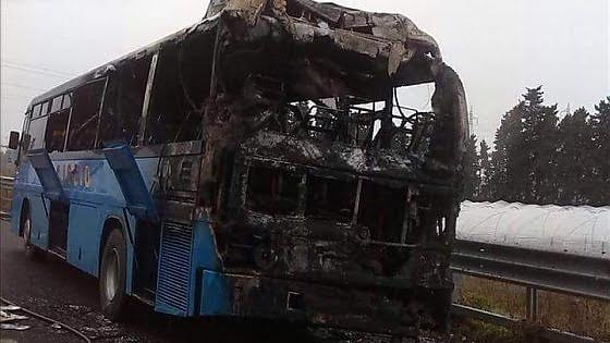 bus
