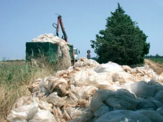 agricoltura