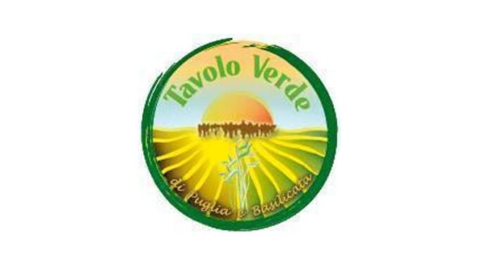 tavolo-verde-logo