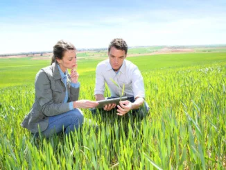 agricoltura