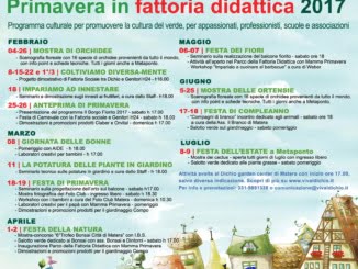 inizia il borgo fiorito con le magnifiche orchidee al dichio garden. 74 dichio radio laser news matera potenza puglia basilicata