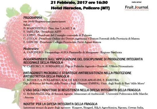 fragola manifesto