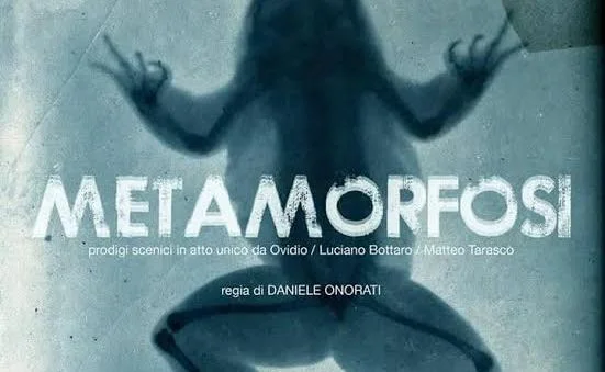 metamorfosi head