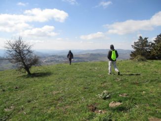 naumanni 1 1 radio laser news matera potenza puglia basilicata