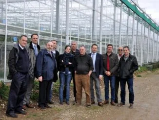 agricoltura