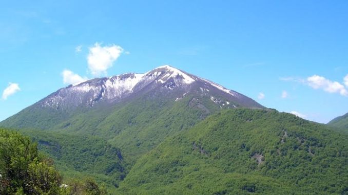 pollino