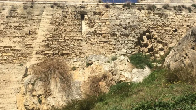 porta pistola 1