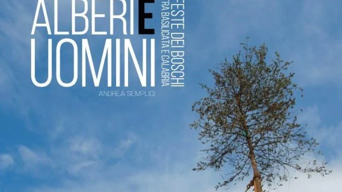 alberi e uomini
