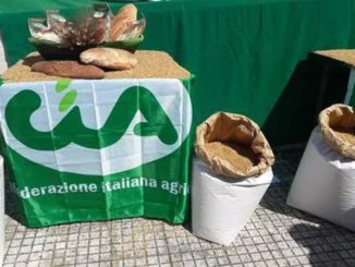agricoltura