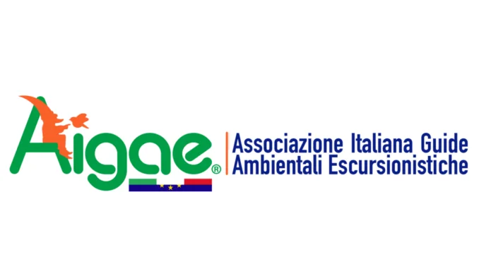 AIGAE