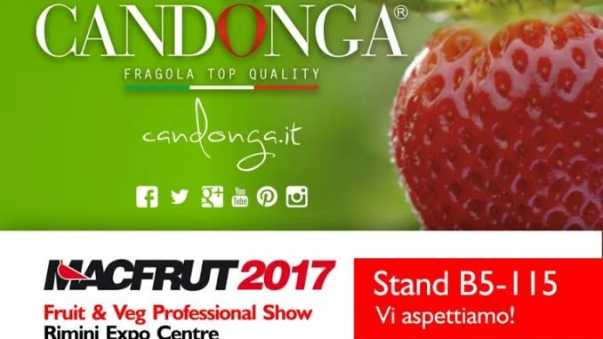 Candonga Macfrut