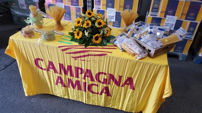 campgana amica