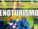 enoturismo head radiolaser news matera potenza puglia basilicata
