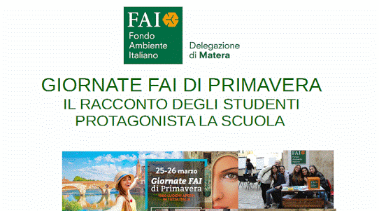 fai primavera head