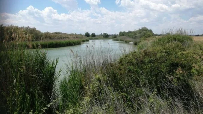 fiume cavone pisticci