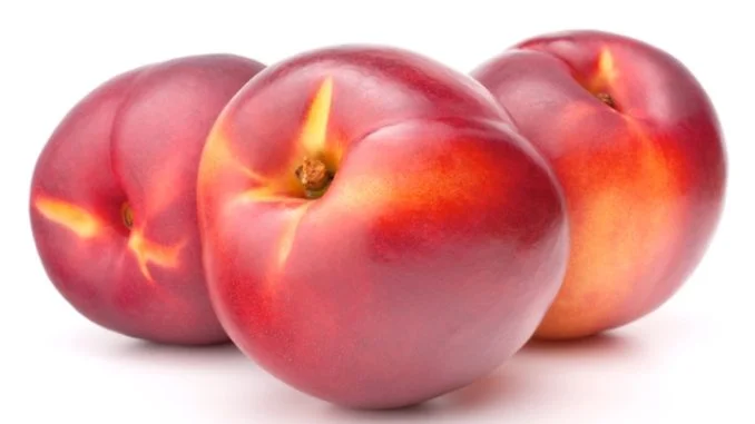 nettarine
