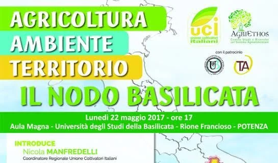 nodo basilicata head
