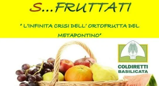 s...fruttati head