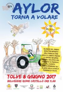 aylor radiolaser news matera potenza puglia basilicata