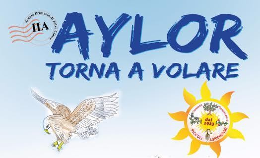 aylor header