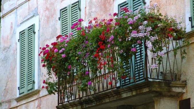 balcone fiorito