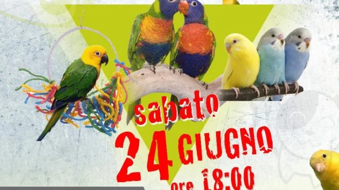 seminario