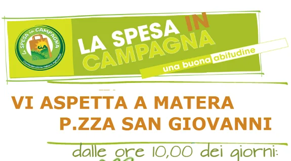 spese in campagna head
