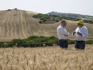 agricoltura