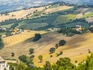 agricoltura