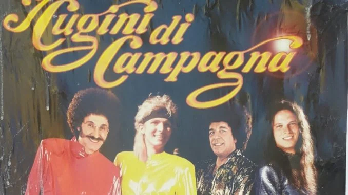 locandina cugini di campagna