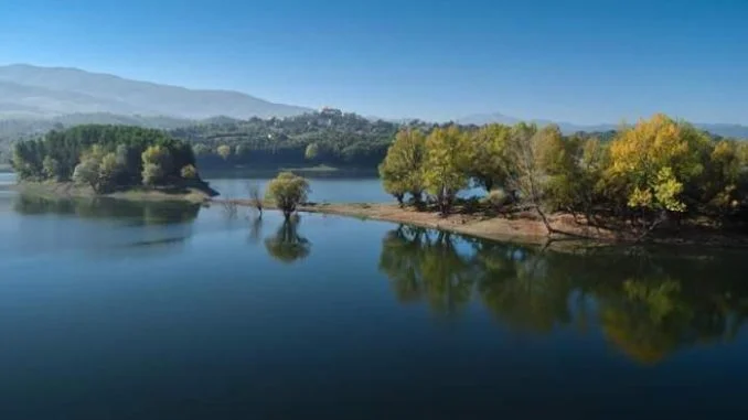 pertusillo