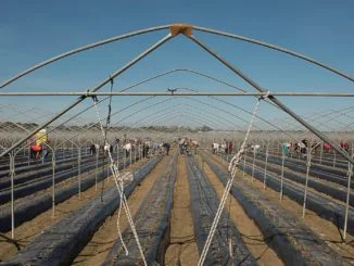 agricoltura