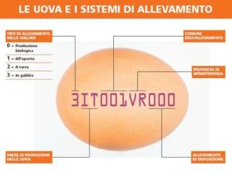 agricoltura