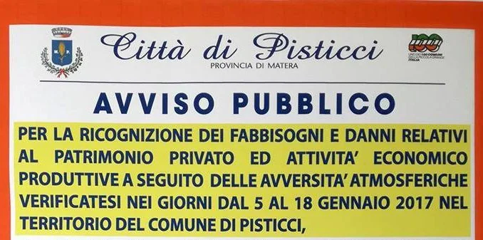 Avviso Pubblico head