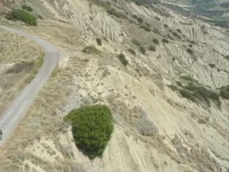 agricoltura