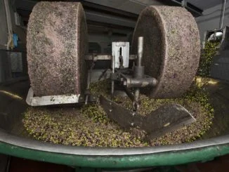 agricoltura