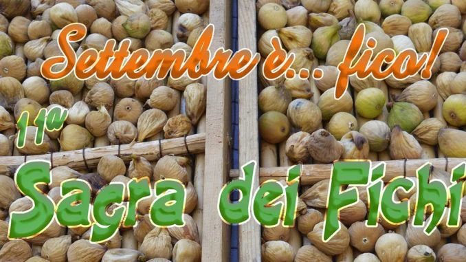 sagra 2017 bis corretto head