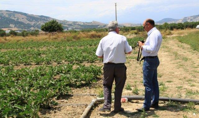 tecnici per sopralluogo ceci