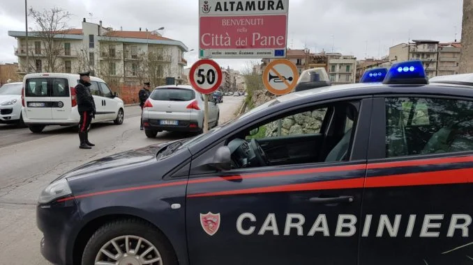 altamura4