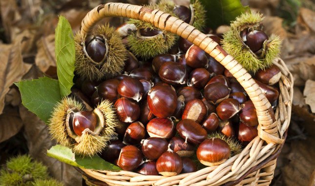castagne