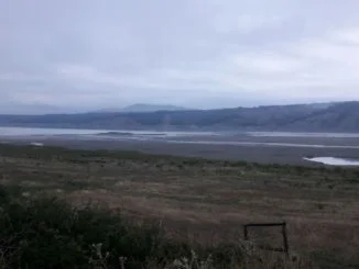 agricoltura