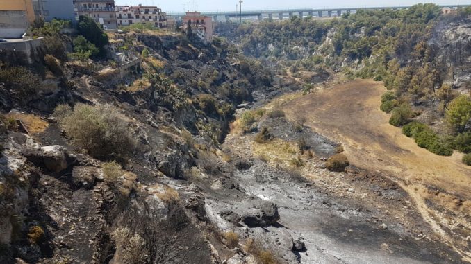 la gravina dopo l'incendio